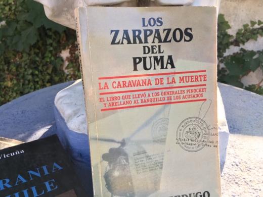 Los Zarpazos del Puma Vicaria de la Solidaridad